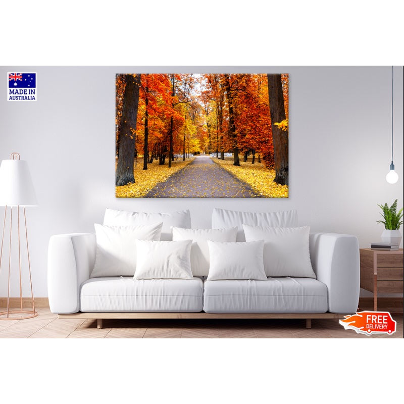 Autumn Landscape Beautiful City Park Photograph Print 100% Australian Made