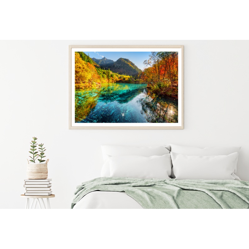 Autumn Trees & River View Photograph Home Decor Premium Quality Poster Print Choose Your Sizes