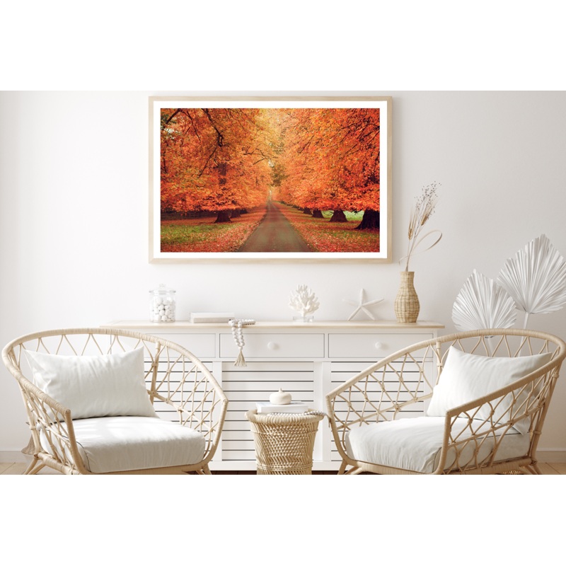 Autumn Trees & Walking Park Photograph Home Decor Premium Quality Poster Print Choose Your Sizes
