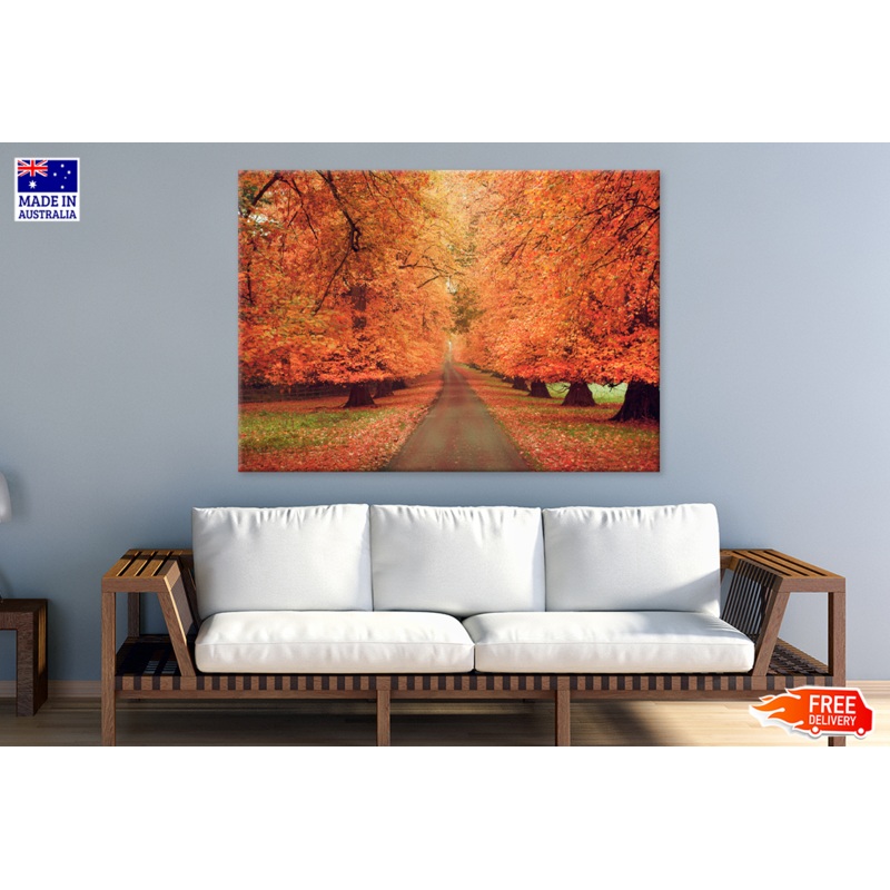 Autumn Trees & Walking Park View Print 100% Australian Made