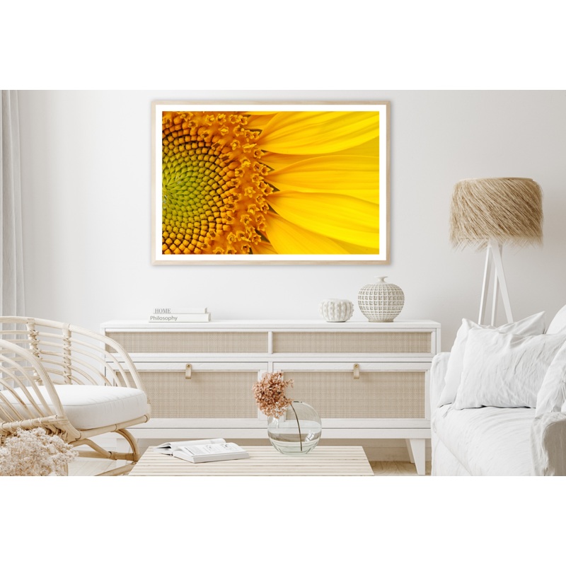 Sunflower Closeup Photograph View Home Decor Premium Quality Poster Print Choose Your Sizes