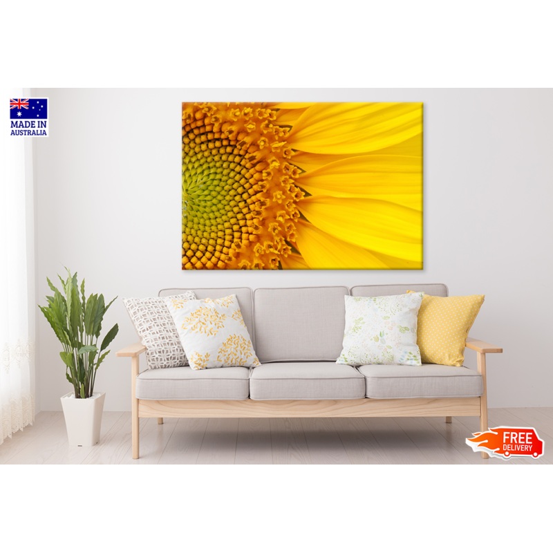 Sunflower Closeup Photograph View Print 100% Australian Made