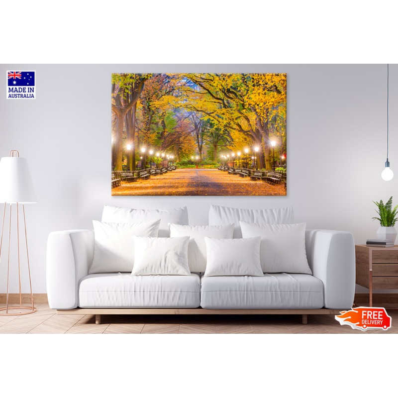 Trees & Walking Road View Photograph Print 100% Australian Made