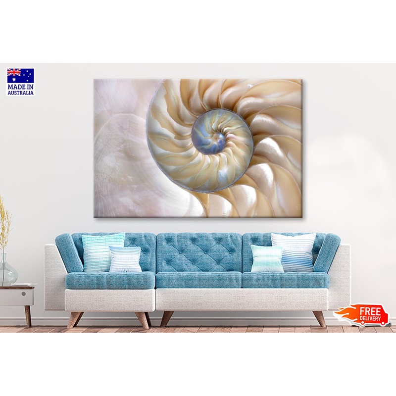 Amazing Fibonacci Pattern in A Nautilus Shell Wall Art Decor 100% Australian Made