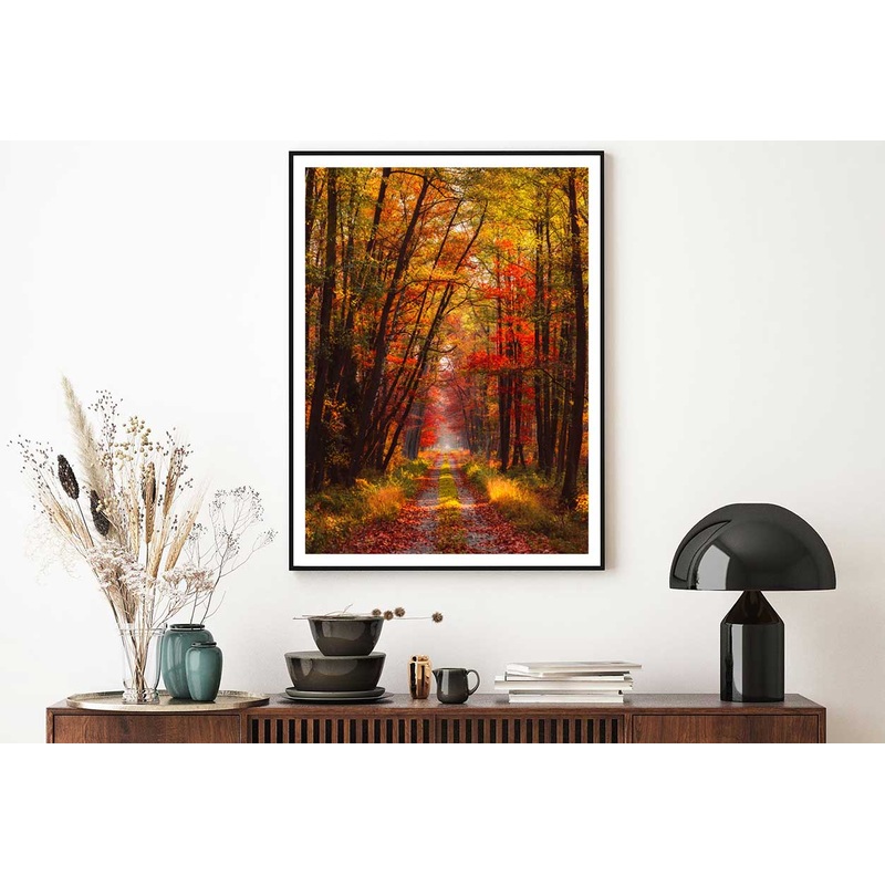 Autumn Forest at Warm Sunlight View Photograph Home Decor Premium Quality Poster Print Choose Your Sizes
