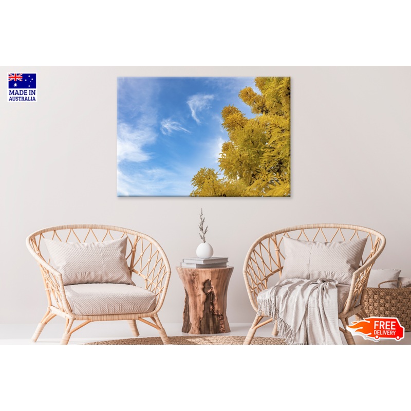 Autumn Trees & Cloudy Sky View Photograph Print 100% Australian Made