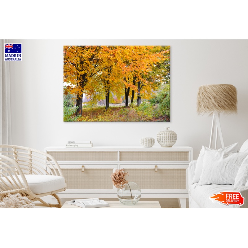 Autumn Trees & Road View Print 100% Australian Made