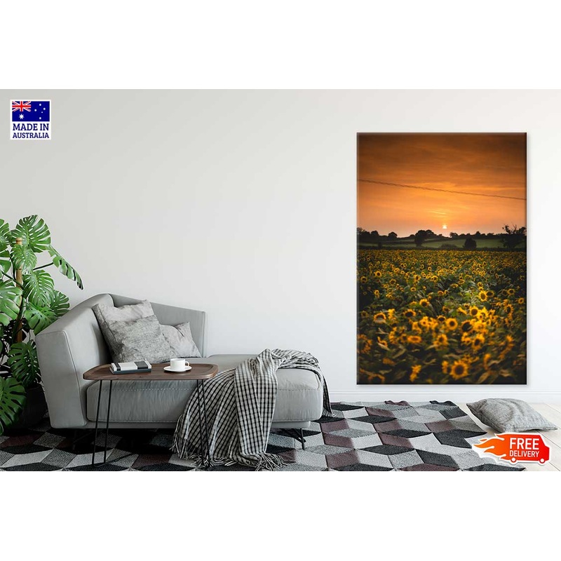 Sunflower Field Sunset Scenery Photograph Print 100% Australian Made