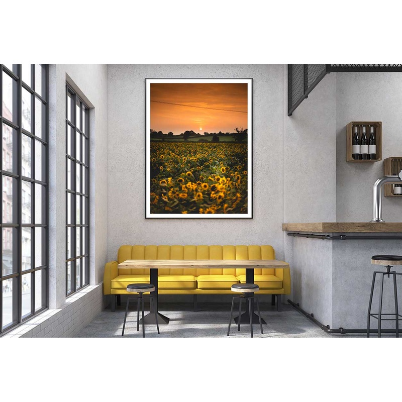 Sunflower Field Sunset Scenery View Photograph Home Decor Premium Quality Poster Print Choose Your Sizes