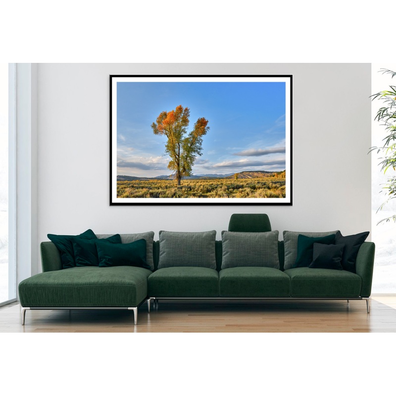 Trees & Cloudy Sky View Photograph Home Decor Premium Quality Poster Print Choose Your Sizes