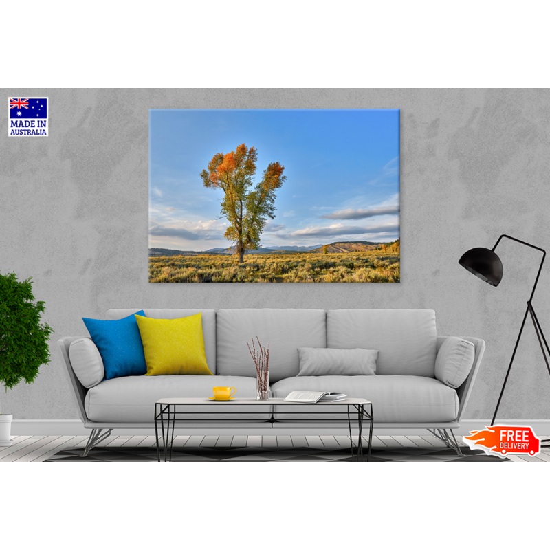 Trees & Cloudy Sky View Photograph Print 100% Australian Made
