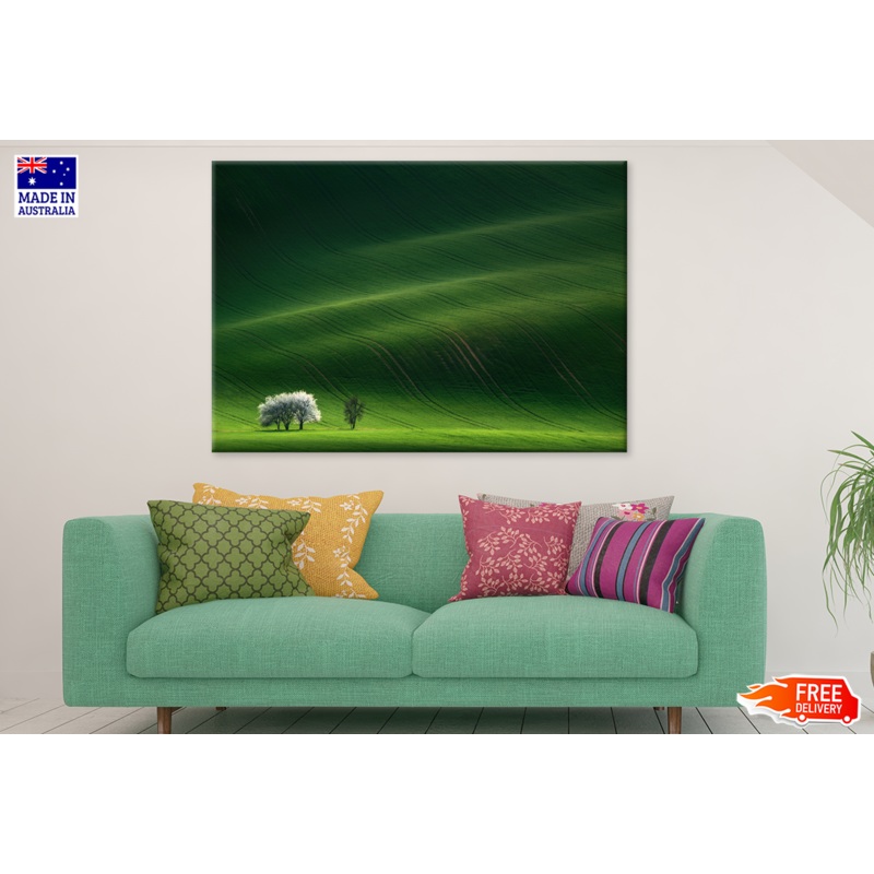 Trees & Grass Field Backgrand  Print 100% Australian Made