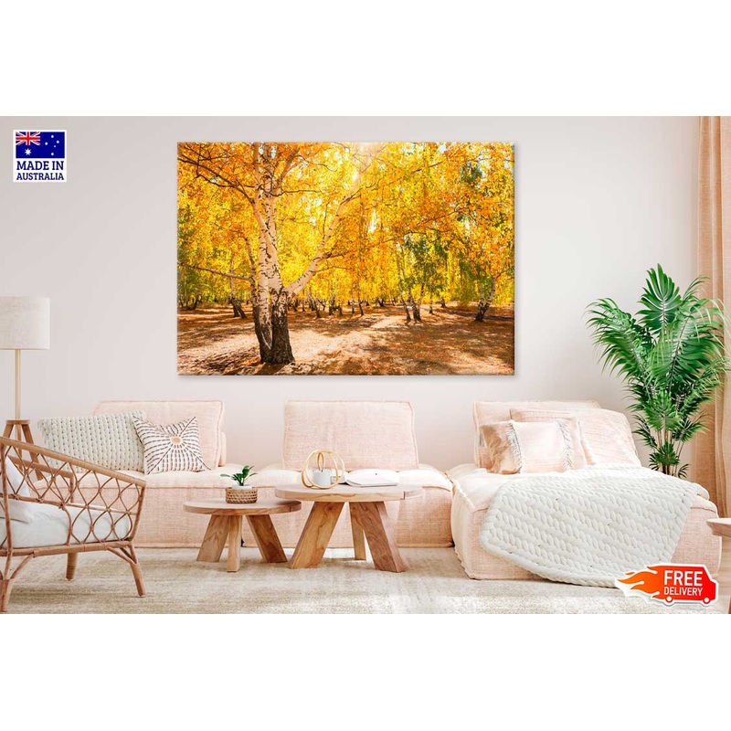 Yellow Autumn Trees Forest Scenery Photograph Print 100% Australian Made