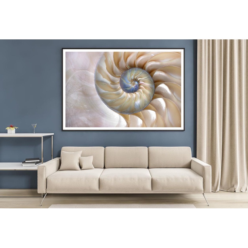 Amazing Fibonacci Pattern in A Nautilus Shell Home Decor Premium Quality Poster Print Choose Your Sizes