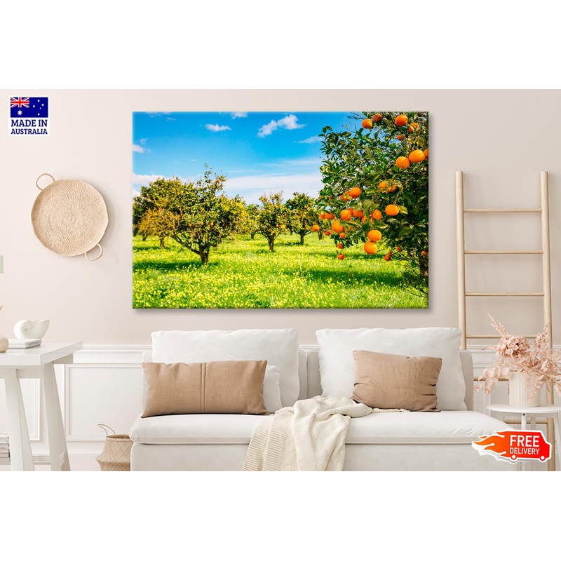 View Of Green Garden Wall Art Decor 100% Australian Made