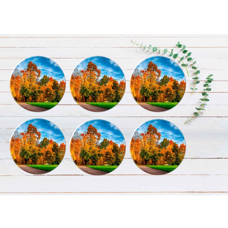 Autumn Park in Sunny Bright Day Coasters Wood & Rubber - Set of 6 Coasters