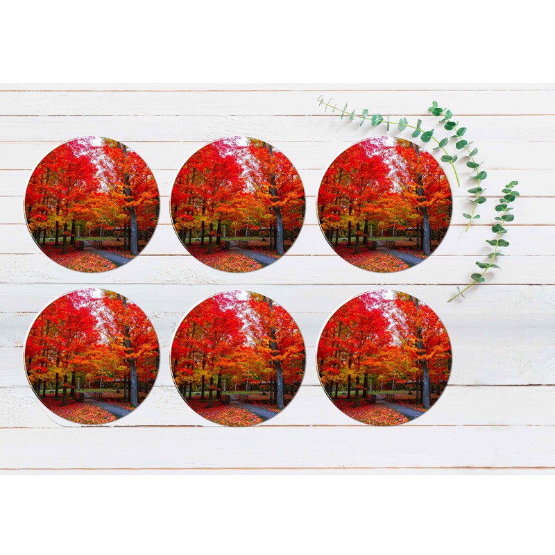 Beautiful Fall Foliage Northeast USA Coasters Wood & Rubber - Set of 6 Coasters
