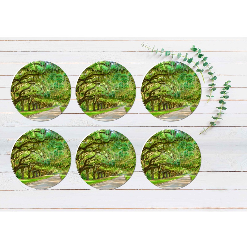 Tree Plantation Entrance in USA Coasters Wood & Rubber - Set of 6 Coasters