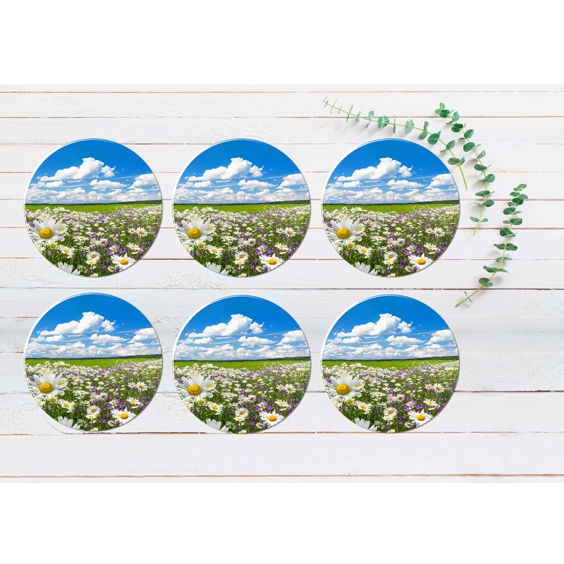 White Chamomile & Purple Bluebells Coasters Wood & Rubber - Set of 6 Coasters