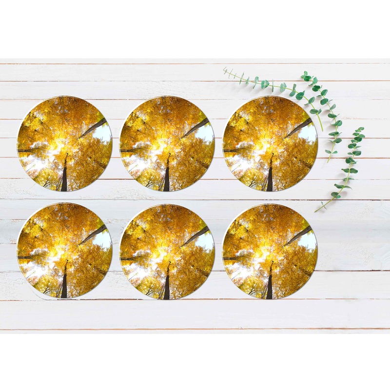 Yellow Beech Forest With Sky View Coasters Wood & Rubber - Set of 6 Coasters