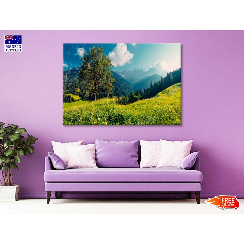 The Alps with Fresh Green Meadows with Mountains Print 100% Australian Made