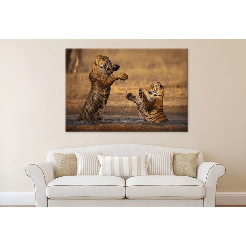 Tiger Walking During Golden Light  Wall Art Decor 100% Australian Made