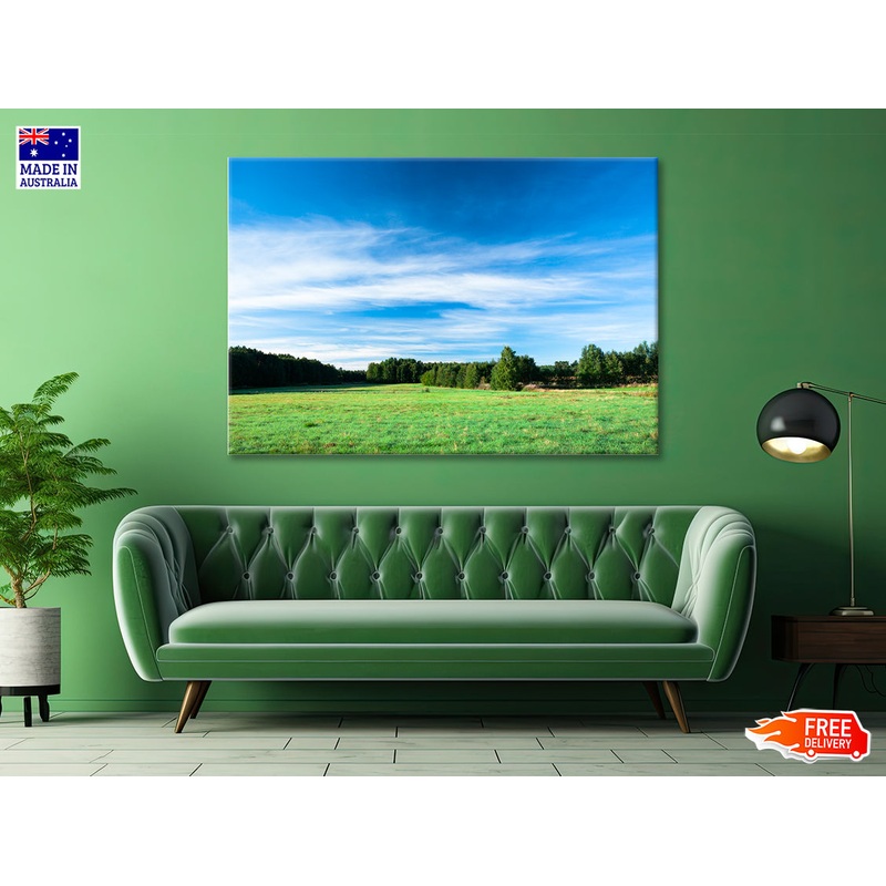 Tranquil Grassland at Sunrise Print 100% Australian Made