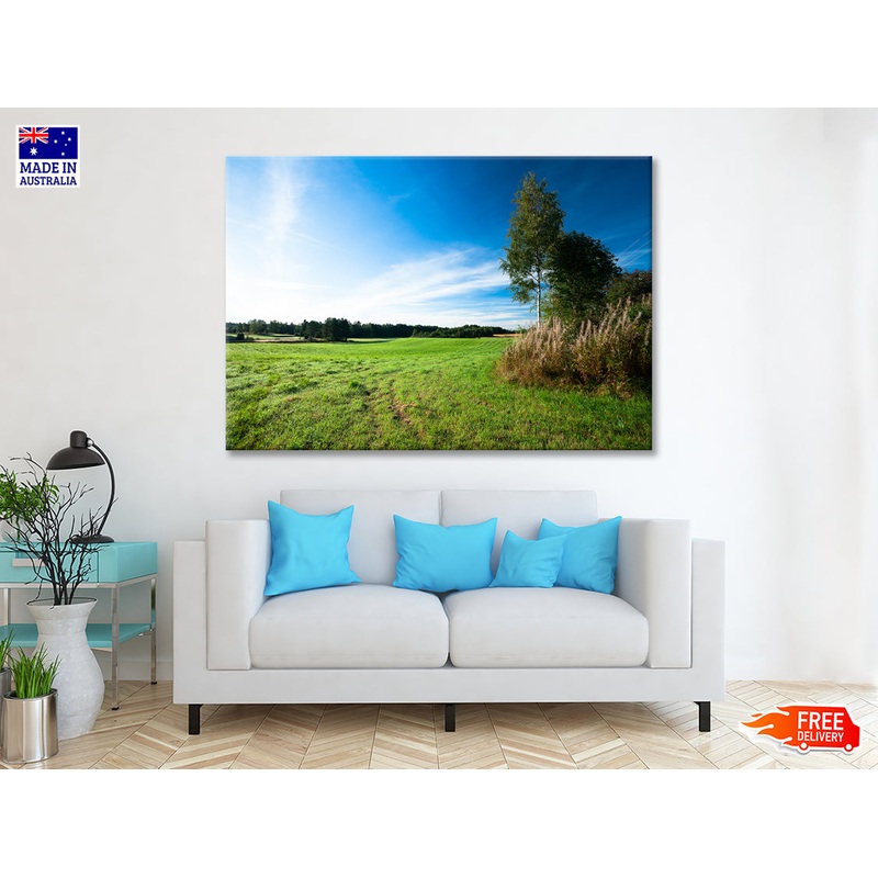 Tranquil Grassland & Trees at Sunrise Print 100% Australian Made
