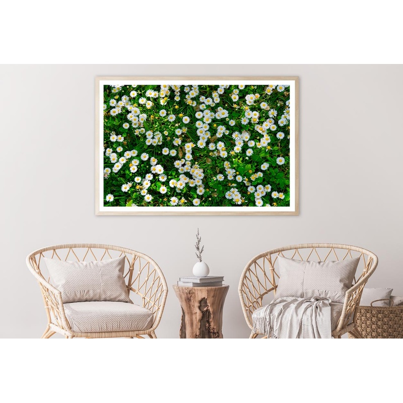 Wild White Daisies Meadow Home Decor Premium Quality Poster Print Choose Your Sizes