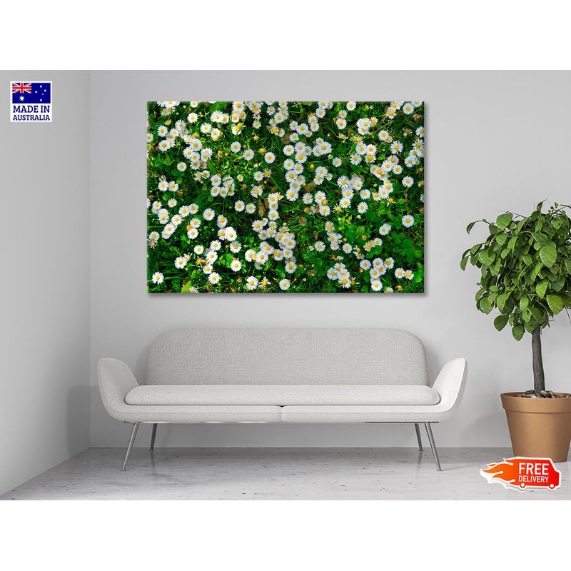 Wild White Daisies Meadow Print 100% Australian Made