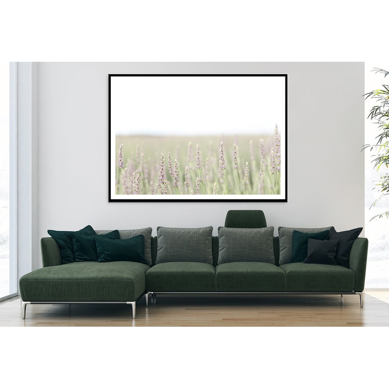 A Field Of Lavender with Grass and Plants Home Decor Premium Quality Poster Print Choose Your Sizes
