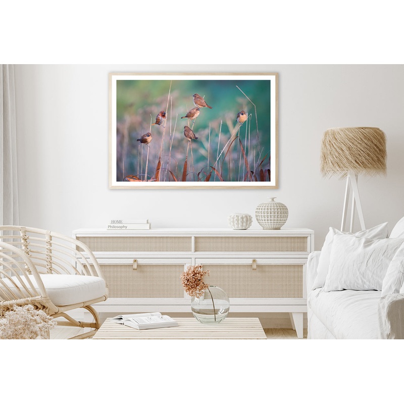 A Group of Birds Perched On a Branch View Home Decor Premium Quality Poster Print Choose Your Sizes