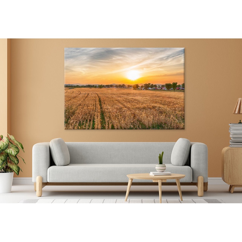 Aerial View of Nakdonggang Barley Field Wall Art Decor 100% Australian Made
