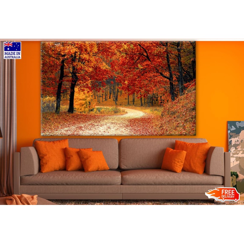 Autumn Forest Road Print 100% Australian Made