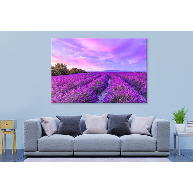 Sunset with Blooming Lavender Flowers Wall Art Decor 100% Australian Made