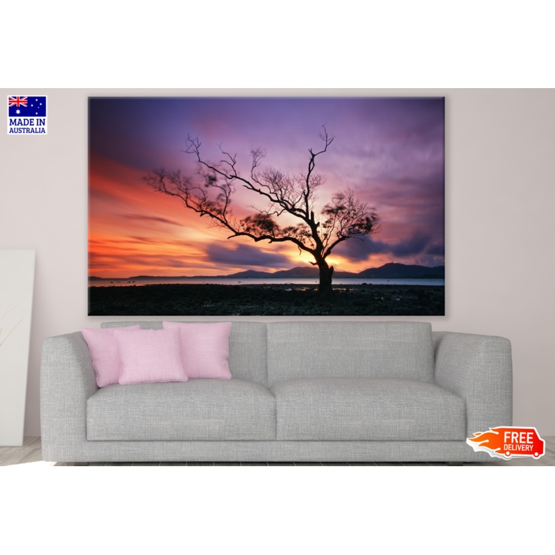 Tree Near Lake Stunning Sunset View Photograph Print 100% Australian Made