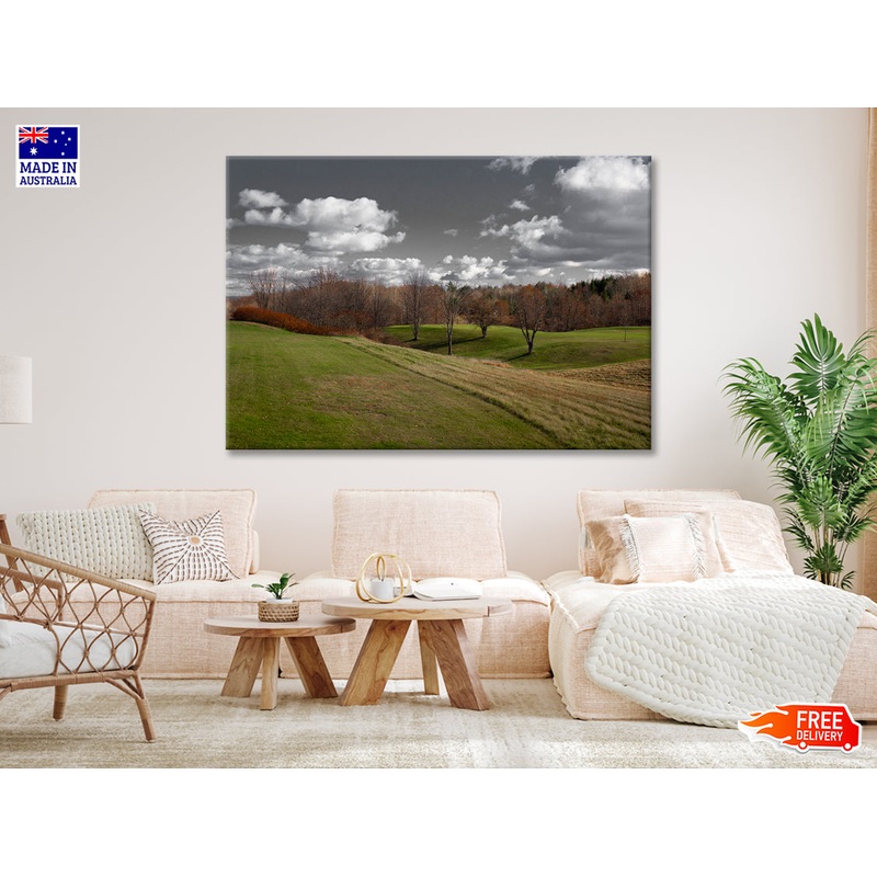 Tree Scenery with Black & White Sky Print 100% Australian Made