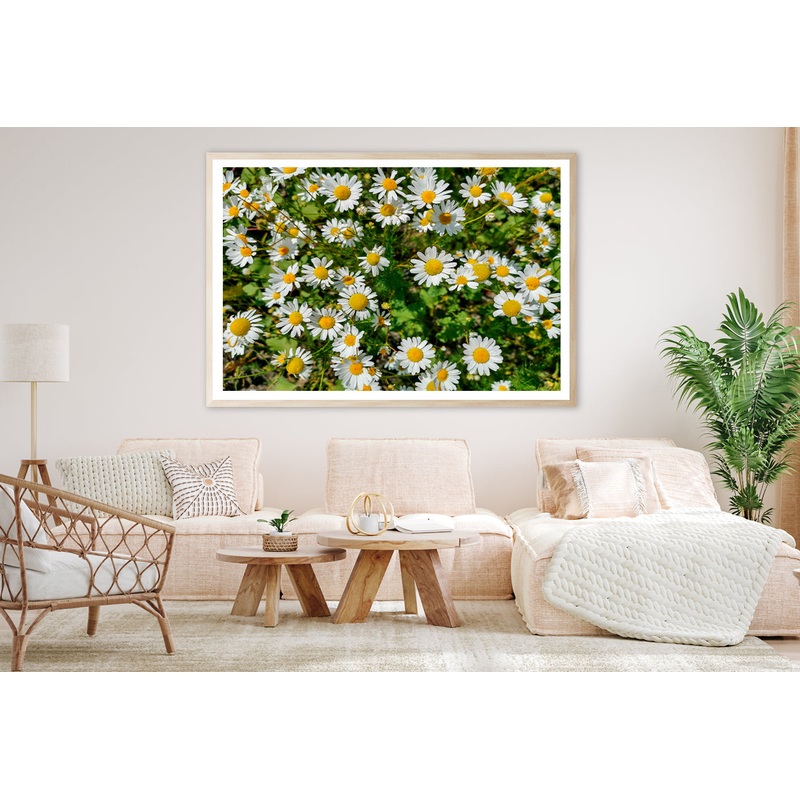 White Daisies Flowers Plants in Bloom Home Decor Premium Quality Poster Print Choose Your Sizes