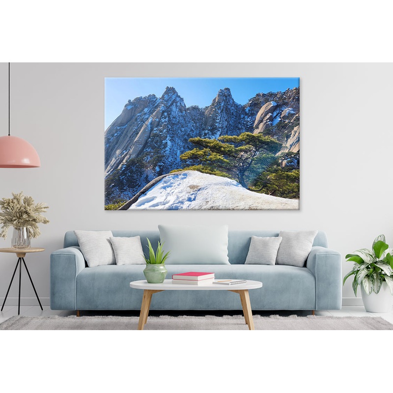 Winter Snow on Deogyusan Mountain Wall Art Decor 100% Australian Made Wall Art Decor 100% Australian Made