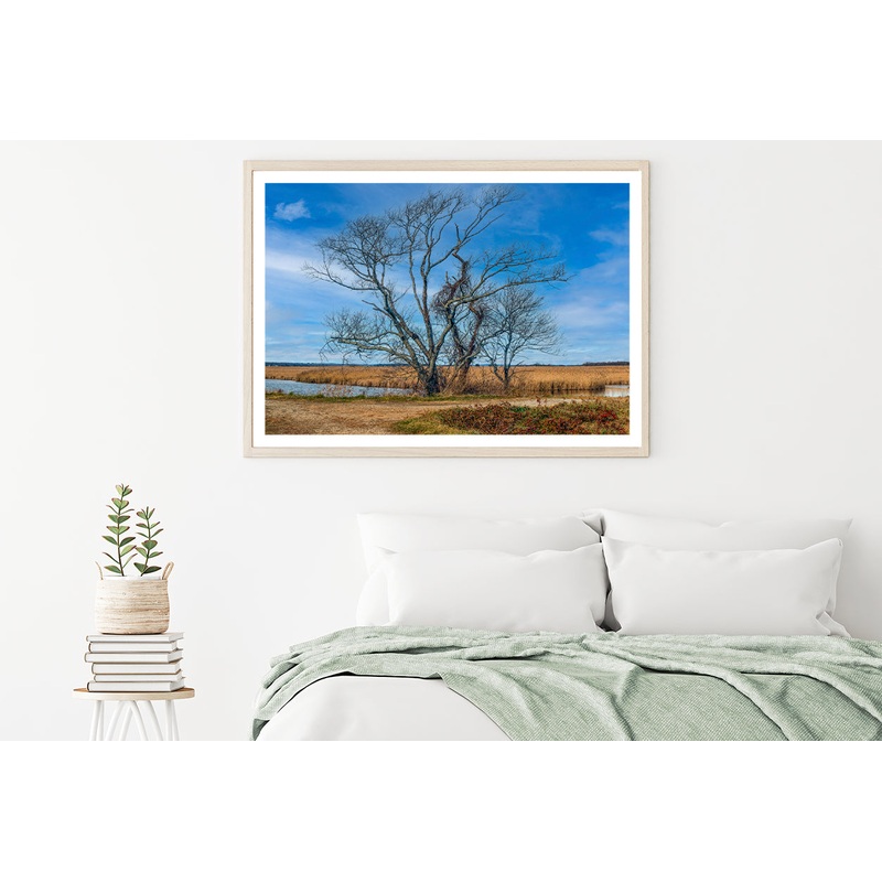 A Couple of Trees Grows In a Field Home Decor Premium Quality Poster Print Choose Your Sizes