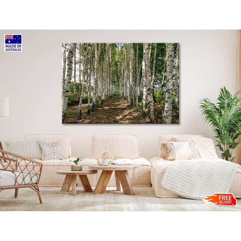 A Dirt Path Winding Through a Forest Print 100% Australian Made