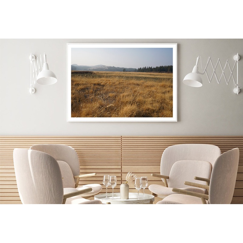 A Field Of Brown Grass with Trees in autumn Home Decor Premium Quality Poster Print Choose Your Sizes