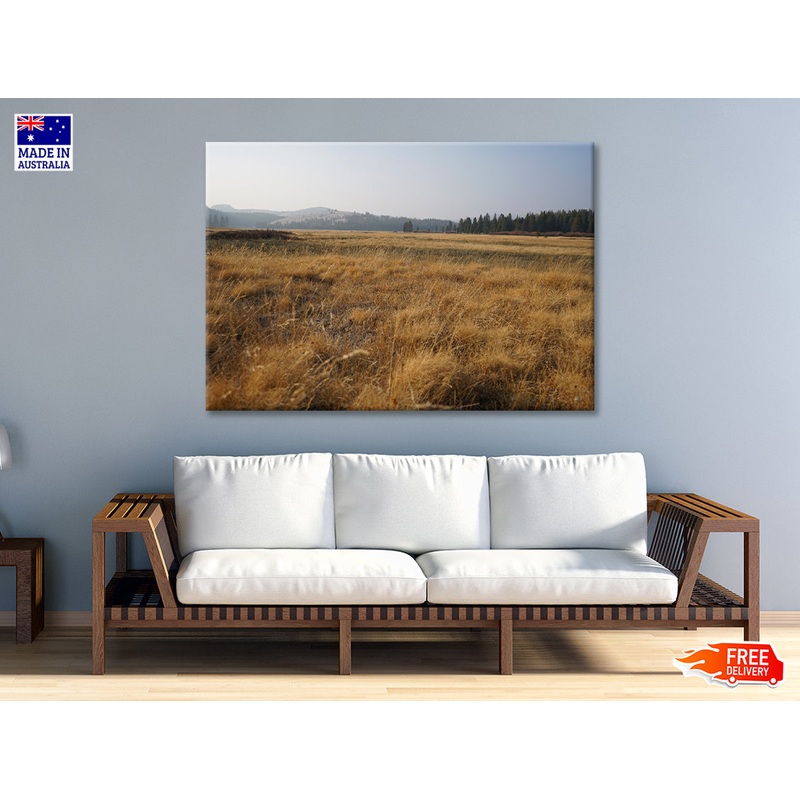 A Field Of Brown Grass with Trees in autumn Print 100% Australian Made