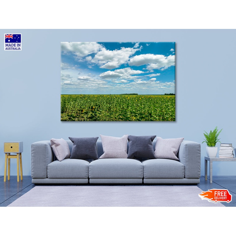 A Field Of Green Plants under a Cloudy Sky Print 100% Australian Made