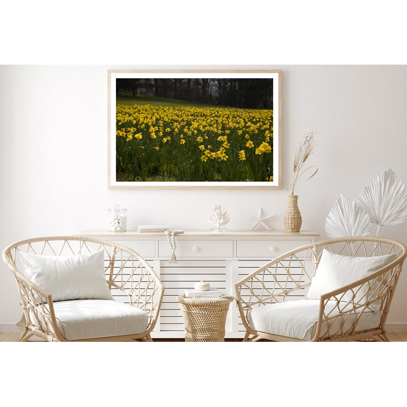 A Field Of Yellow Flowers in a Meadow during spring Home Decor Premium Quality Poster Print Choose Your Sizes
