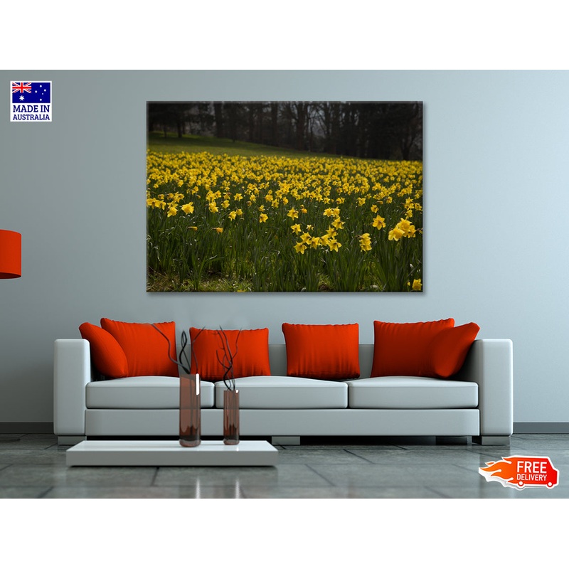 A Field Of Yellow Flowers in a Meadow during spring Print 100% Australian Made