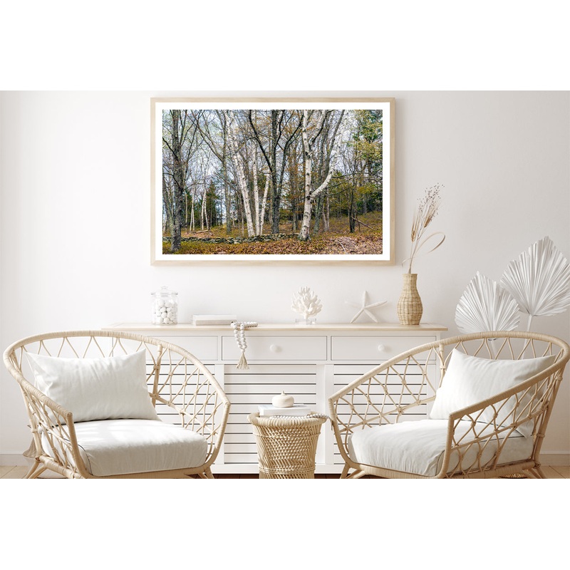 A Forest of Deciduous Trees in autumn Home Decor Premium Quality Poster Print Choose Your Sizes