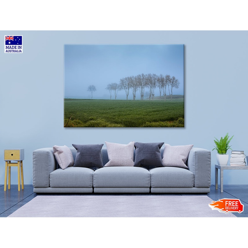 A Grassy Field with Trees, Clear Sky and Some Mist Print 100% Australian Made