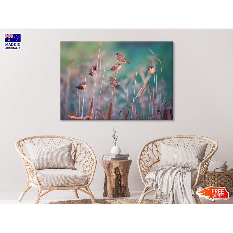 A Group of Birds Perched On a Branch View Print 100% Australian Made