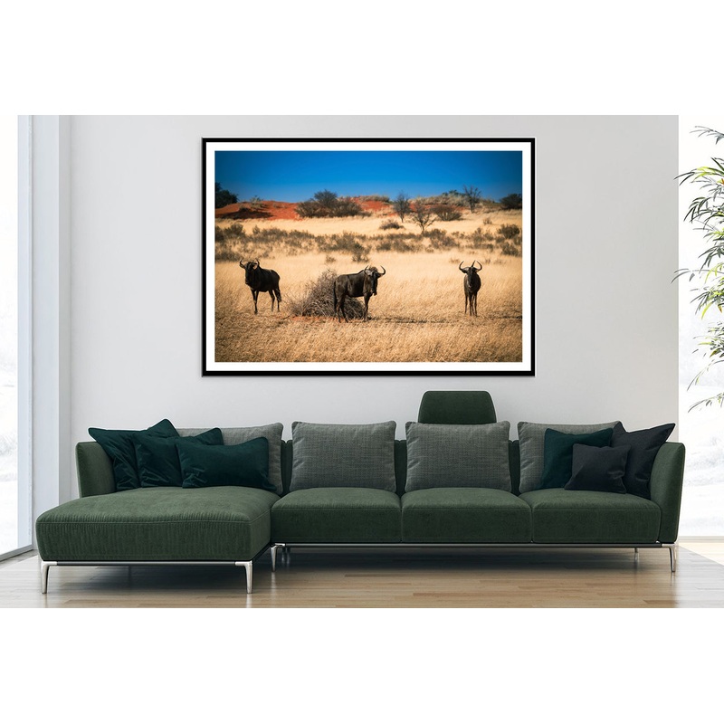 A Group of Mammals Standing In a Field in Namibia Home Decor Premium Quality Poster Print Choose Your Sizes